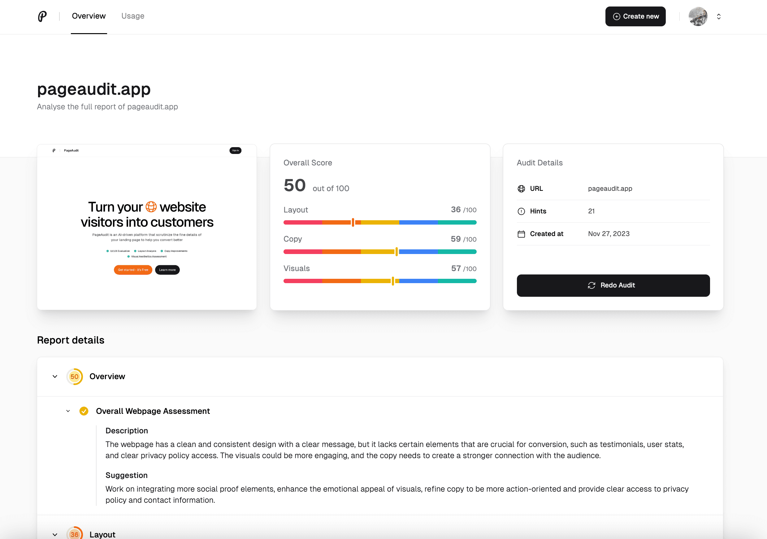 PageAudit Report Screenshot